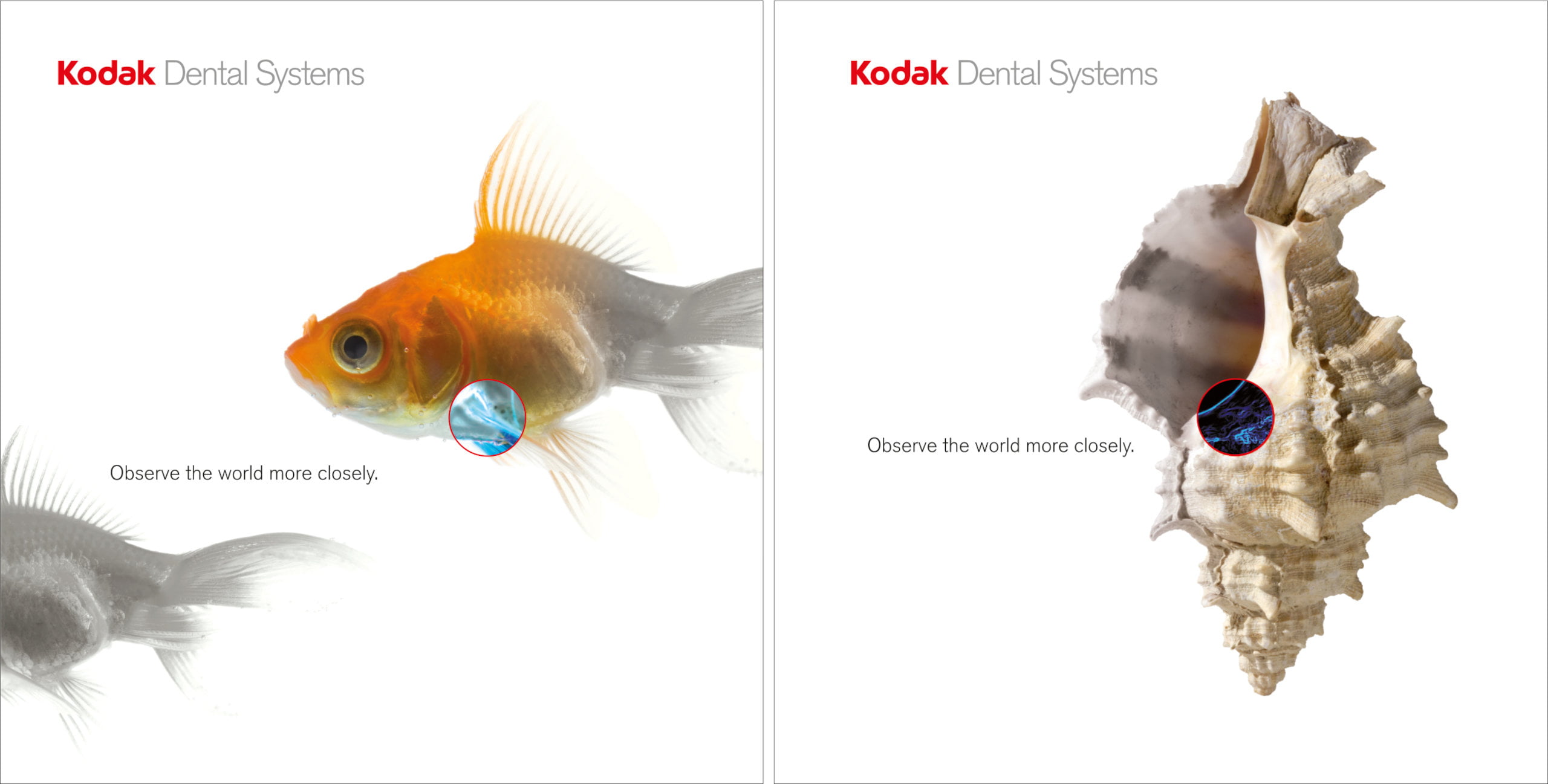 Observer the world more closely sensore intraorale Kodak dental Systems